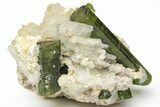 Verdelite Tourmaline, Albite & Muscovite Association - Brazil #217530-1